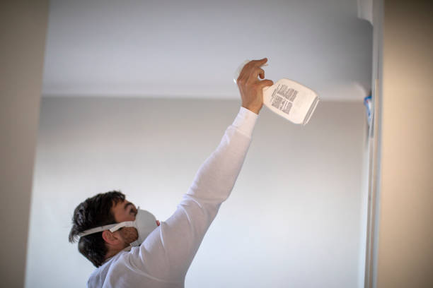 Best Mold Damage Repair  in White Mountain Lake, AZ